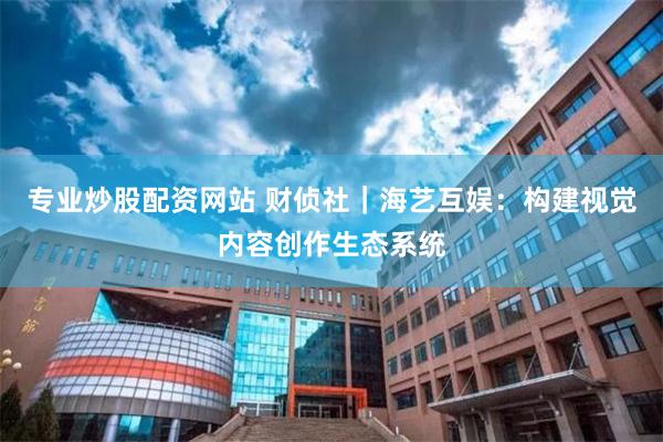 专业炒股配资网站 财侦社｜海艺互娱：构建视觉内容创作生态系统